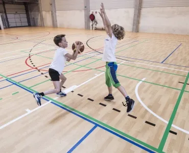  Taraflex® Evolution